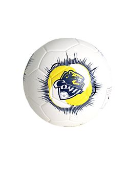 Мяч футбольный с логотипом ФК Сочи 